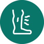 Muscle, Ligament, and Tendon Problems