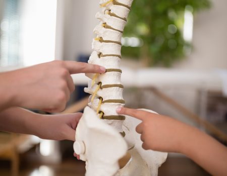 cropped-hands-of-female-therapist-and-boy-pointing-at-artificial-spine.jpg